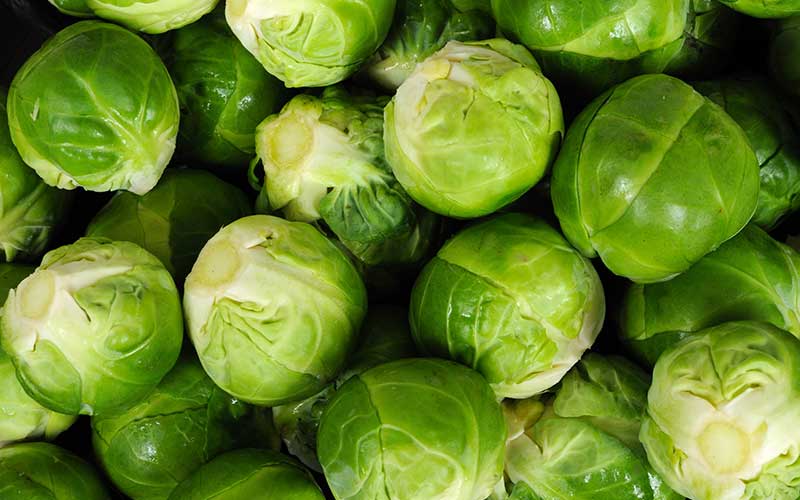 Brussel Sprouts
