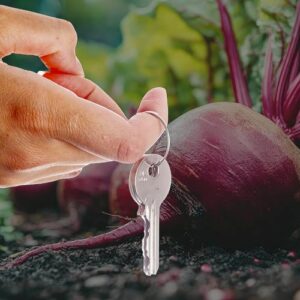 Hampton Hargate key deposit