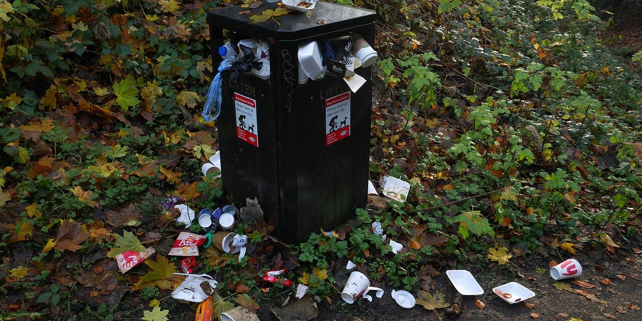 bin-4665444_1280 Rubbish bin over flowing on a public footpath