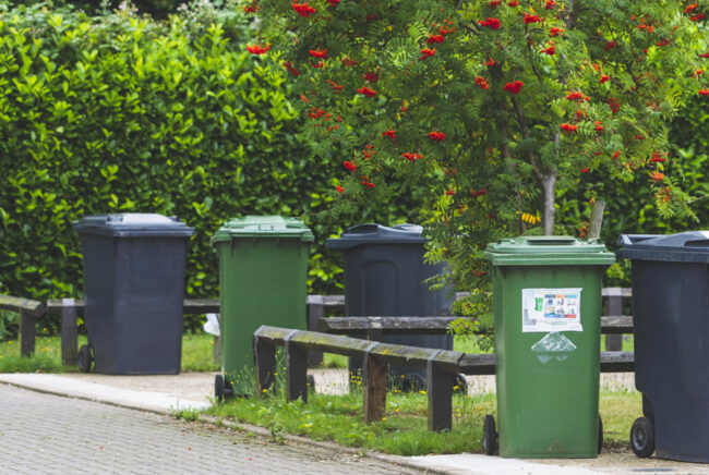 refuse-collection-31.x65a15d46