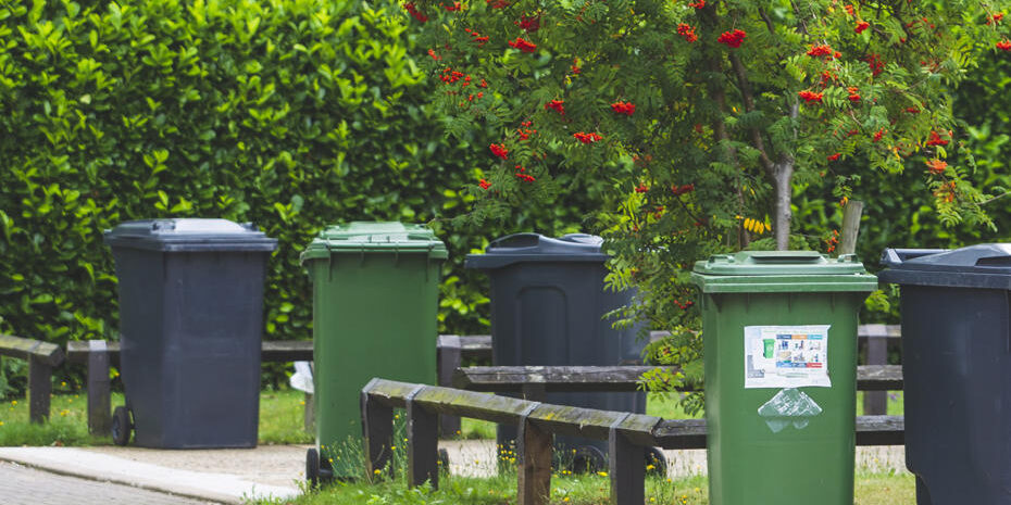 refuse-collection-31.x65a15d46